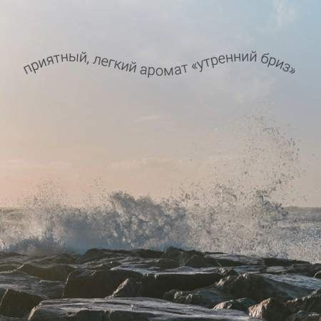 5 Гель для мытья пола Hausmann универсальный 1л фото 5