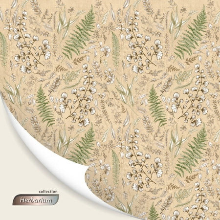 8 Кофр для хранения Hausmann Herbarium 60x50x36см фото 7